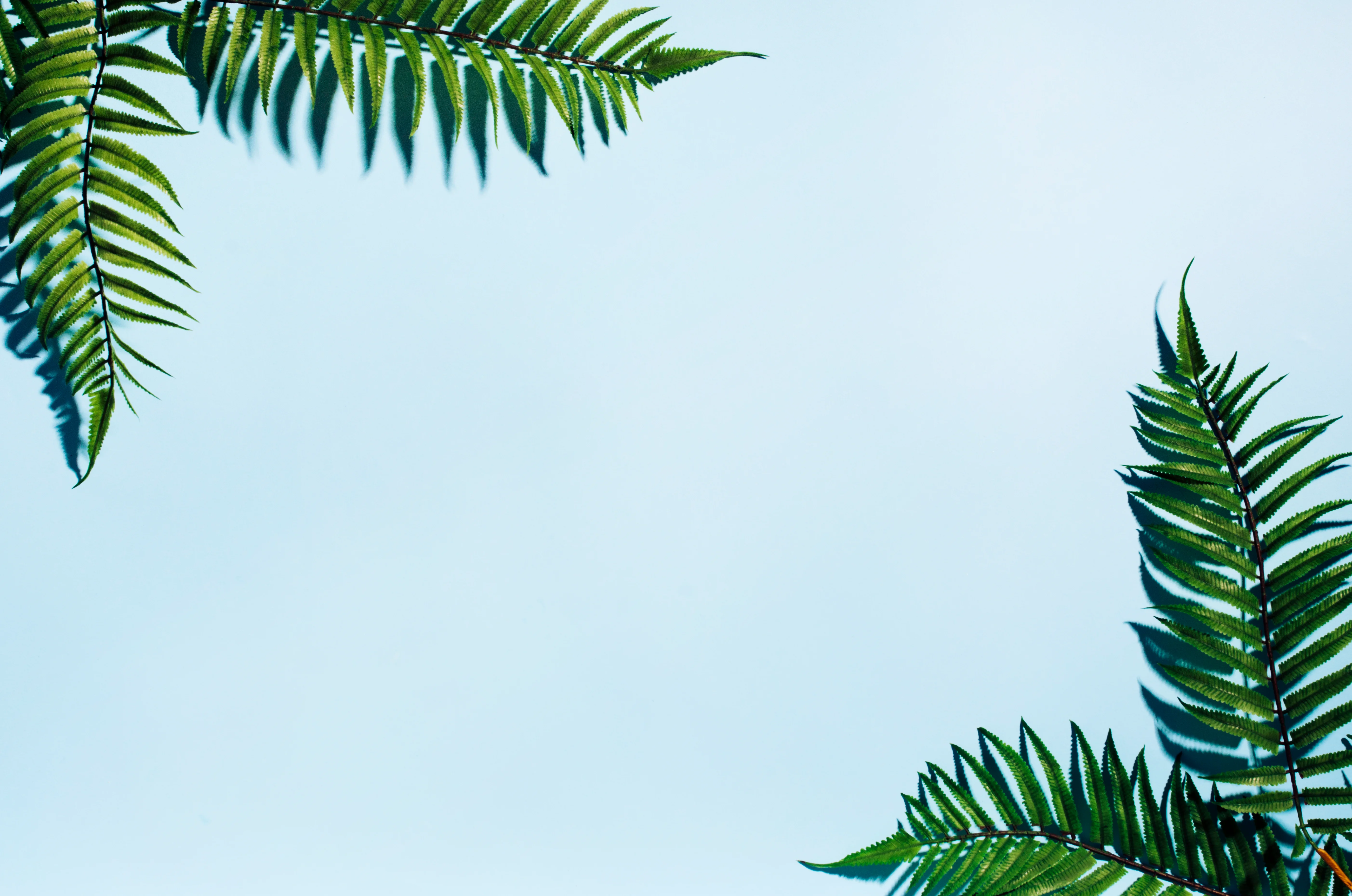 Platinum MyPass Background